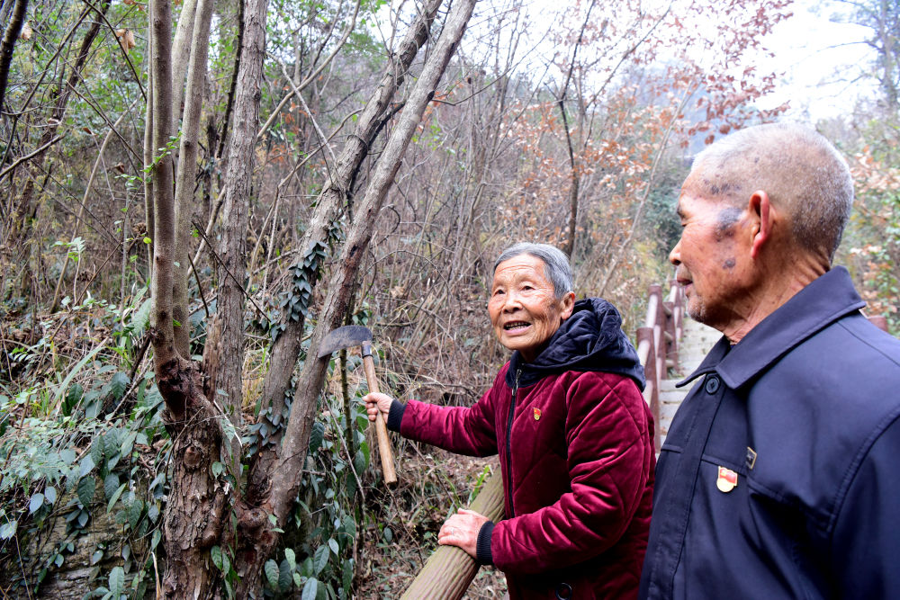 新春走基层·走笔｜那双手，那抹红