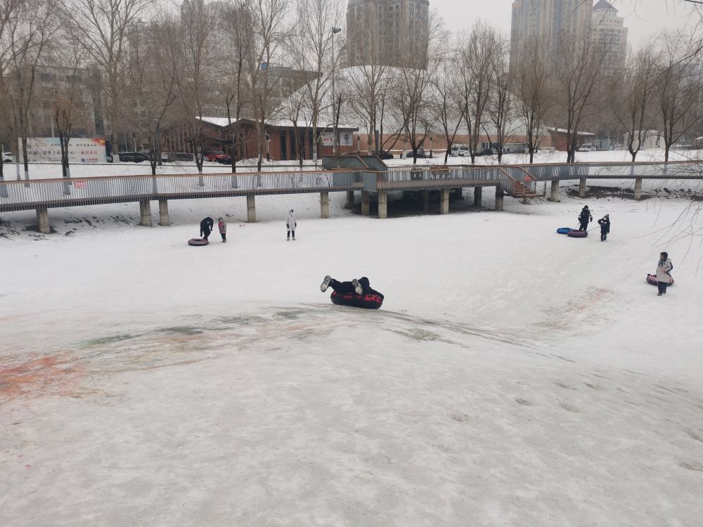 冰天雪地也是欢天喜地——“尔滨”过大年迎“亚冬”