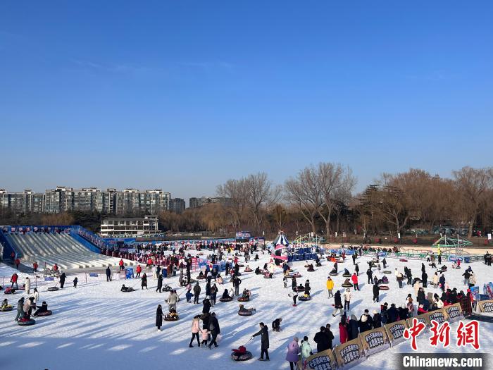 春节期间企鹅巡游加场 北京陶然亭公园冰雪项目服务升级