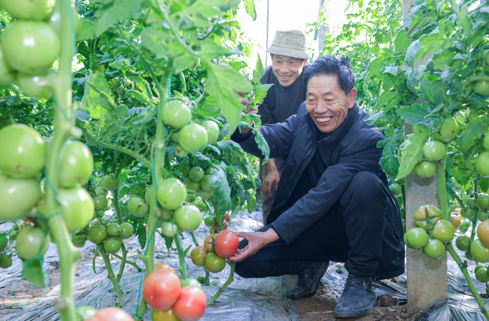 从“抢财神”到“送财神”