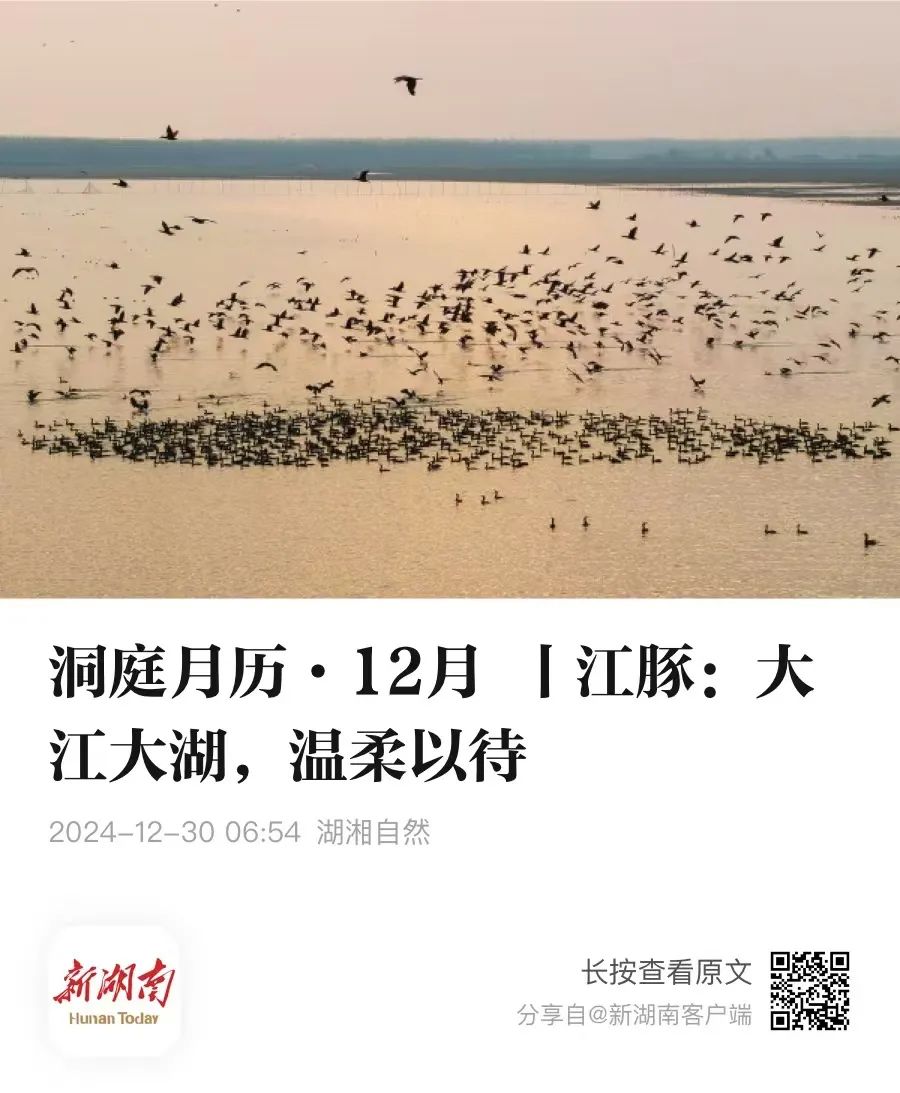 恭喜!这些作品入选