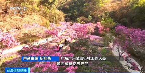 节后出游正当时！冲浪、赏花、邮轮游……错峰旅行更划算