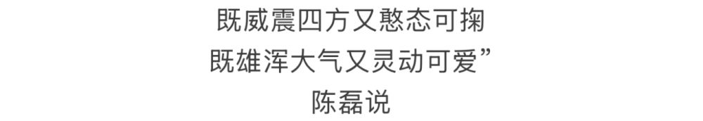 你好！亚冬会！你想知道的亚冬会知识都在这