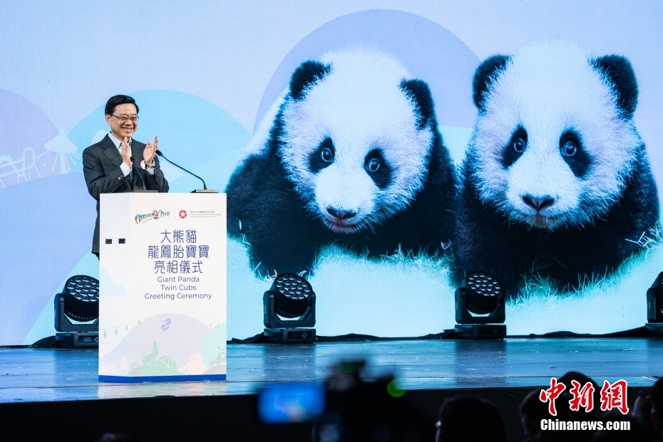 香港海洋公园举办大熊猫龙凤胎宝宝亮相仪式