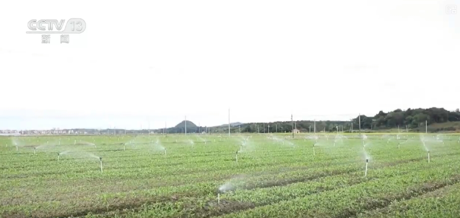 春管向“新”而行 一幅幅“科技春耕图”在广袤田野徐徐展开