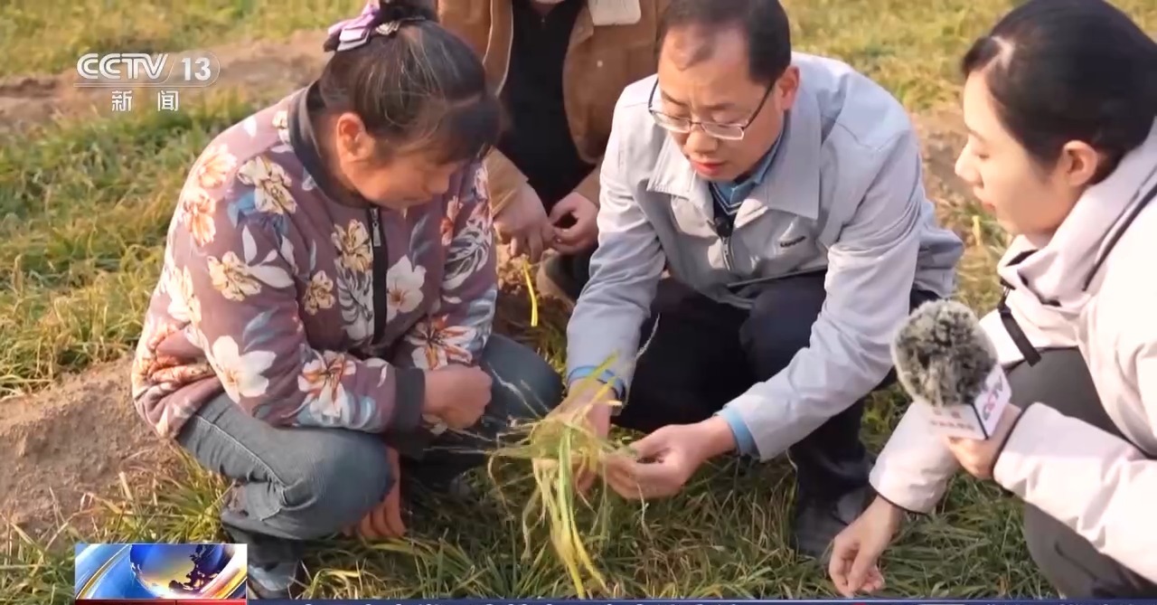 一线调研丨因地制宜强农业 田管方案也实现了“慧”种地