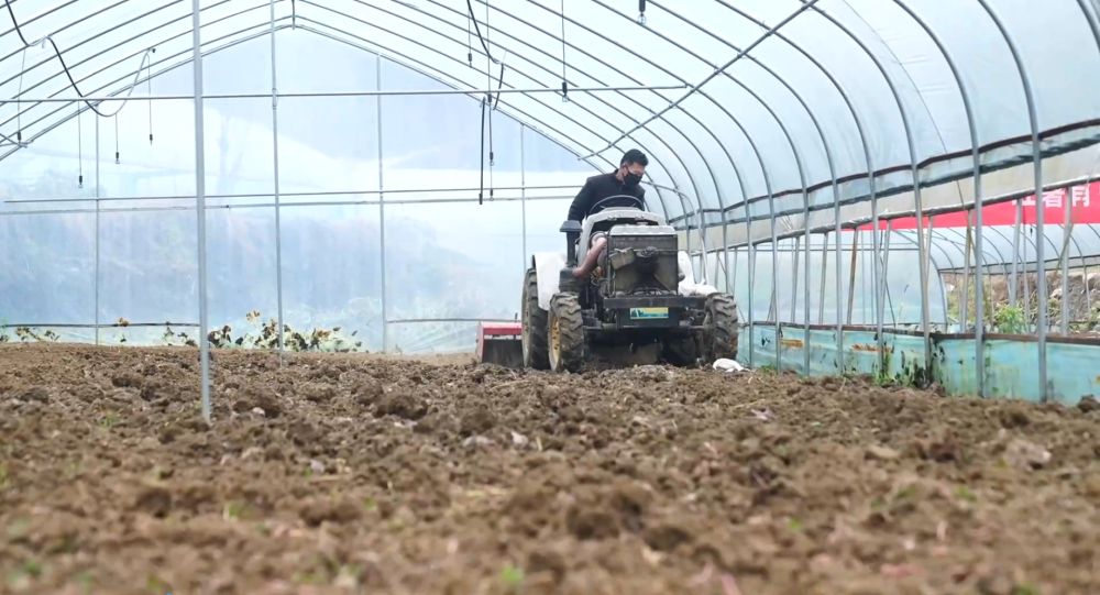 万象“耕”新 春潮涌动沃野间