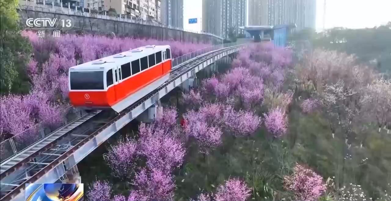 可以把春景“打包”带回家~ 多地解锁春日特色消费场景