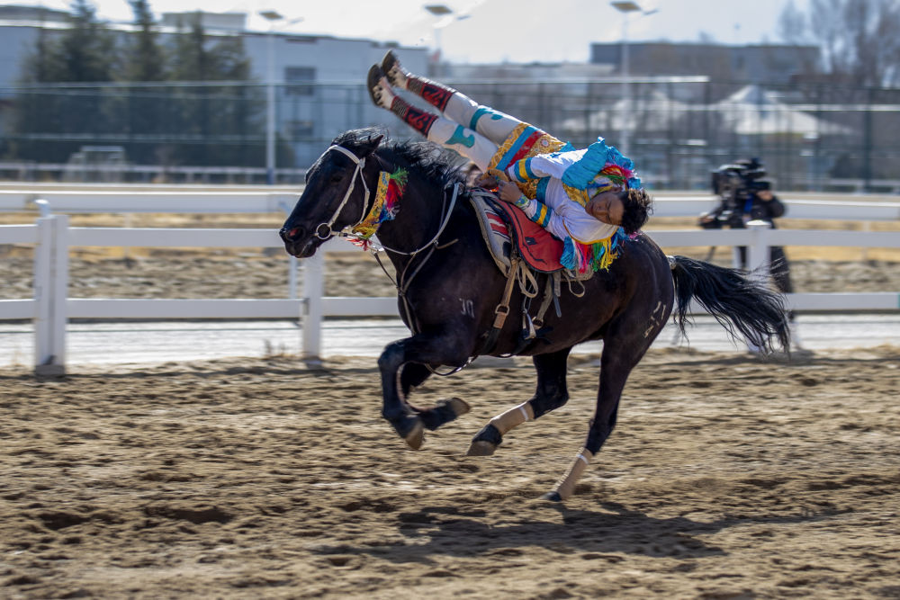 新华全媒+丨西藏:马背竞技迎新年 新华全媒+丨西藏:马背竞技迎新年