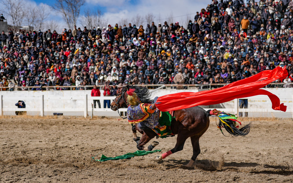 新华全媒+丨西藏:马背竞技迎新年 新华全媒+丨西藏:马背竞技迎新年
