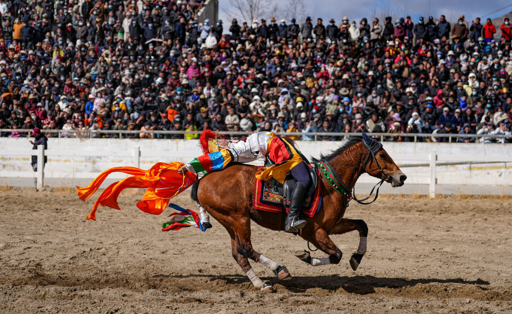 新华全媒+丨西藏:马背竞技迎新年 新华全媒+丨西藏:马背竞技迎新年