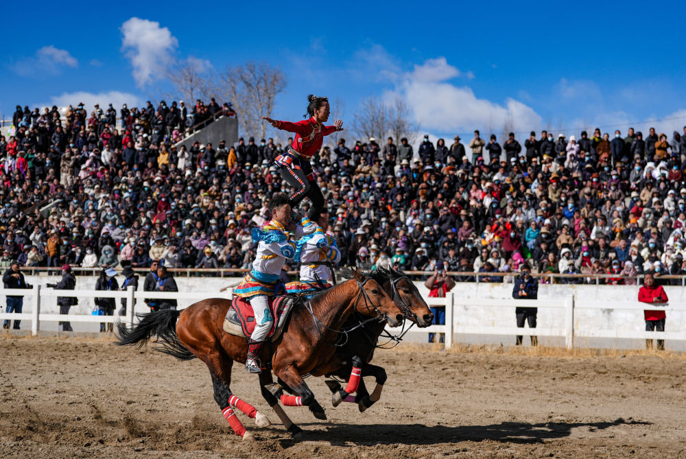新华全媒+丨西藏:马背竞技迎新年 新华全媒+丨西藏:马背竞技迎新年
