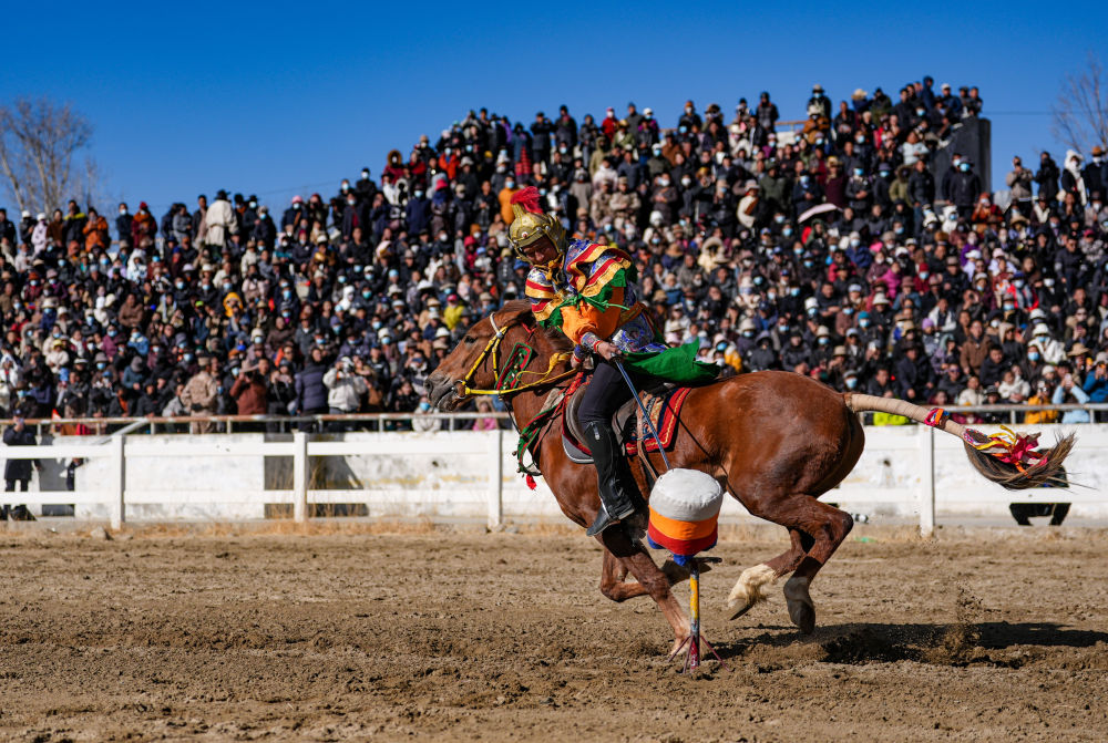 新华全媒+丨西藏:马背竞技迎新年 新华全媒+丨西藏:马背竞技迎新年