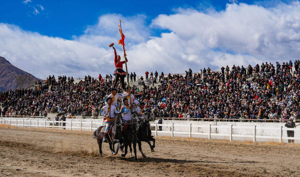 新华全媒+丨西藏:马背竞技迎新年 新华全媒+丨西藏:马背竞技迎新年