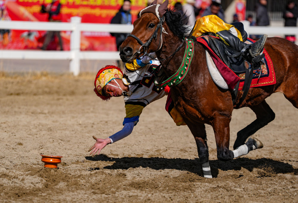 新华全媒+丨西藏：马背竞技迎新年