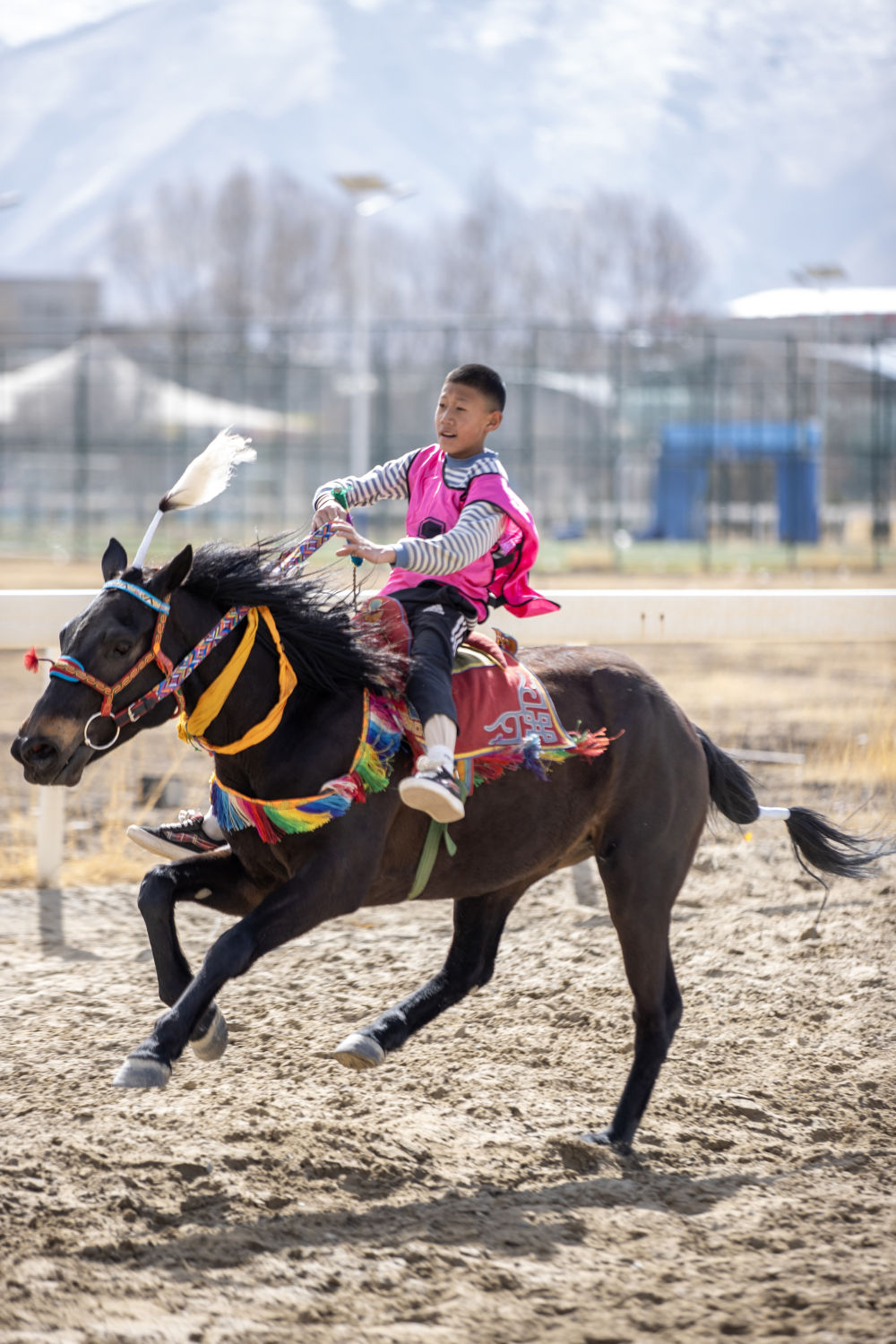 新华全媒+丨西藏：马背竞技迎新年