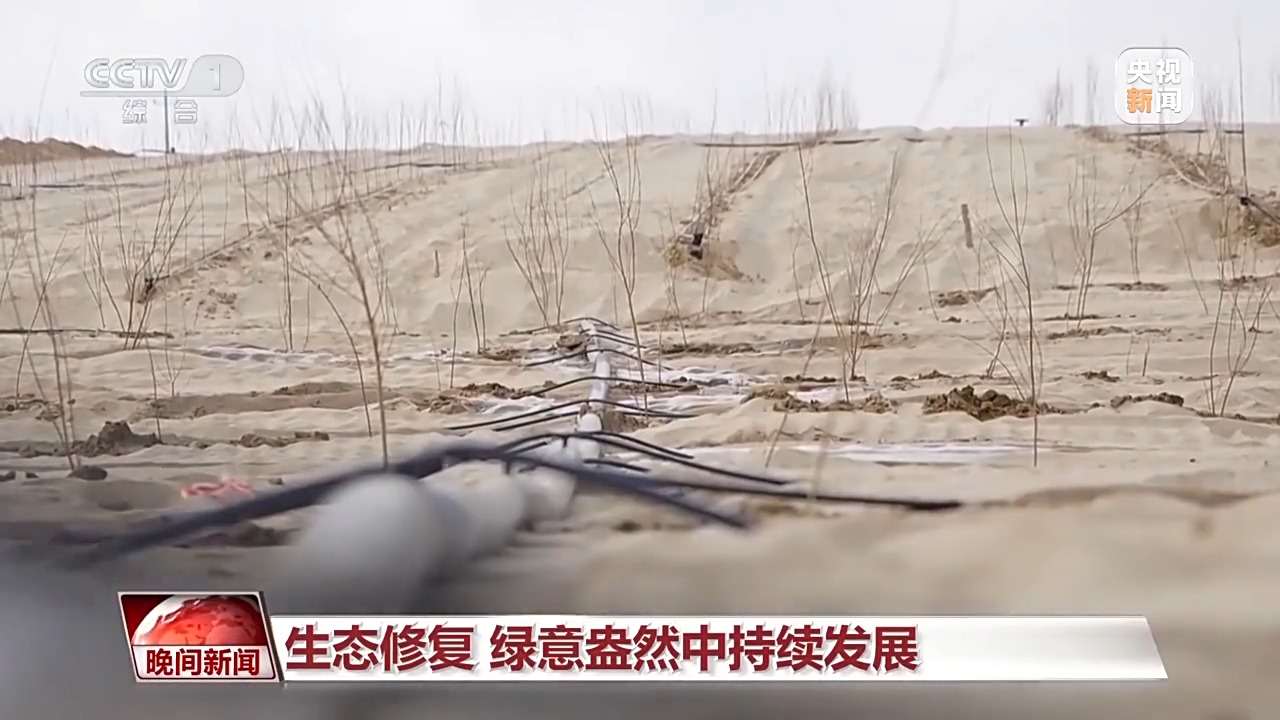 多维度 很亮眼！我国绿色发展交答卷
