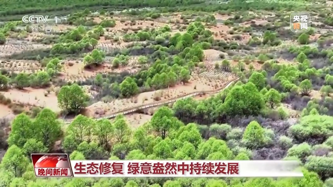 多维度 很亮眼！我国绿色发展交答卷