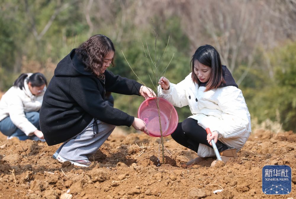 多彩活动迎“三八”国际妇女节