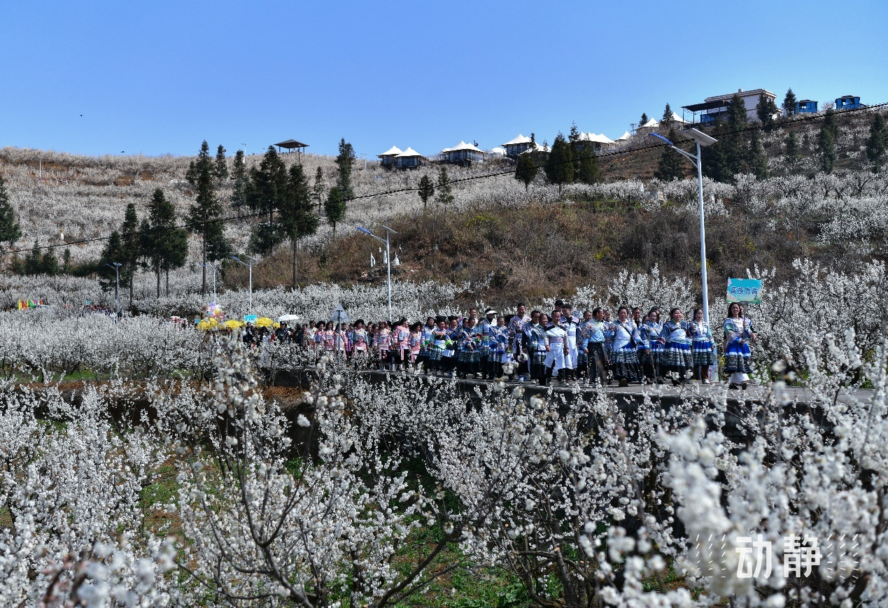 “村”潮涌动处 振兴正当时