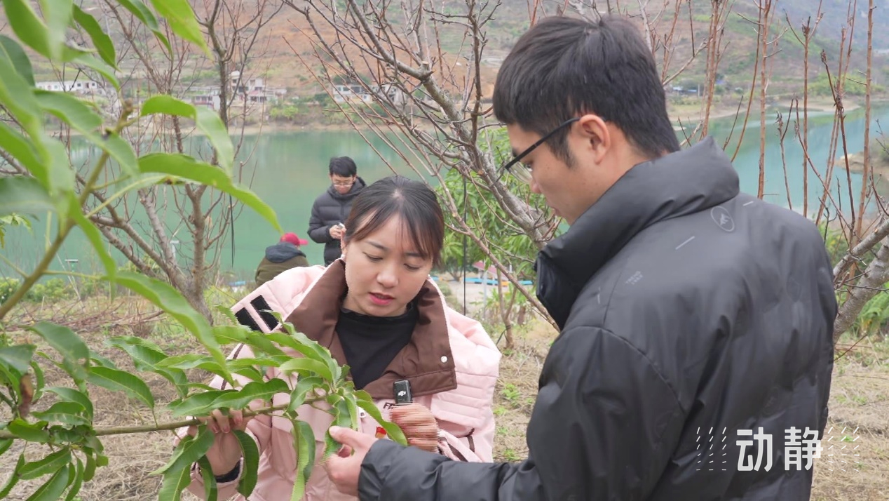 “村”潮涌动处 振兴正当时