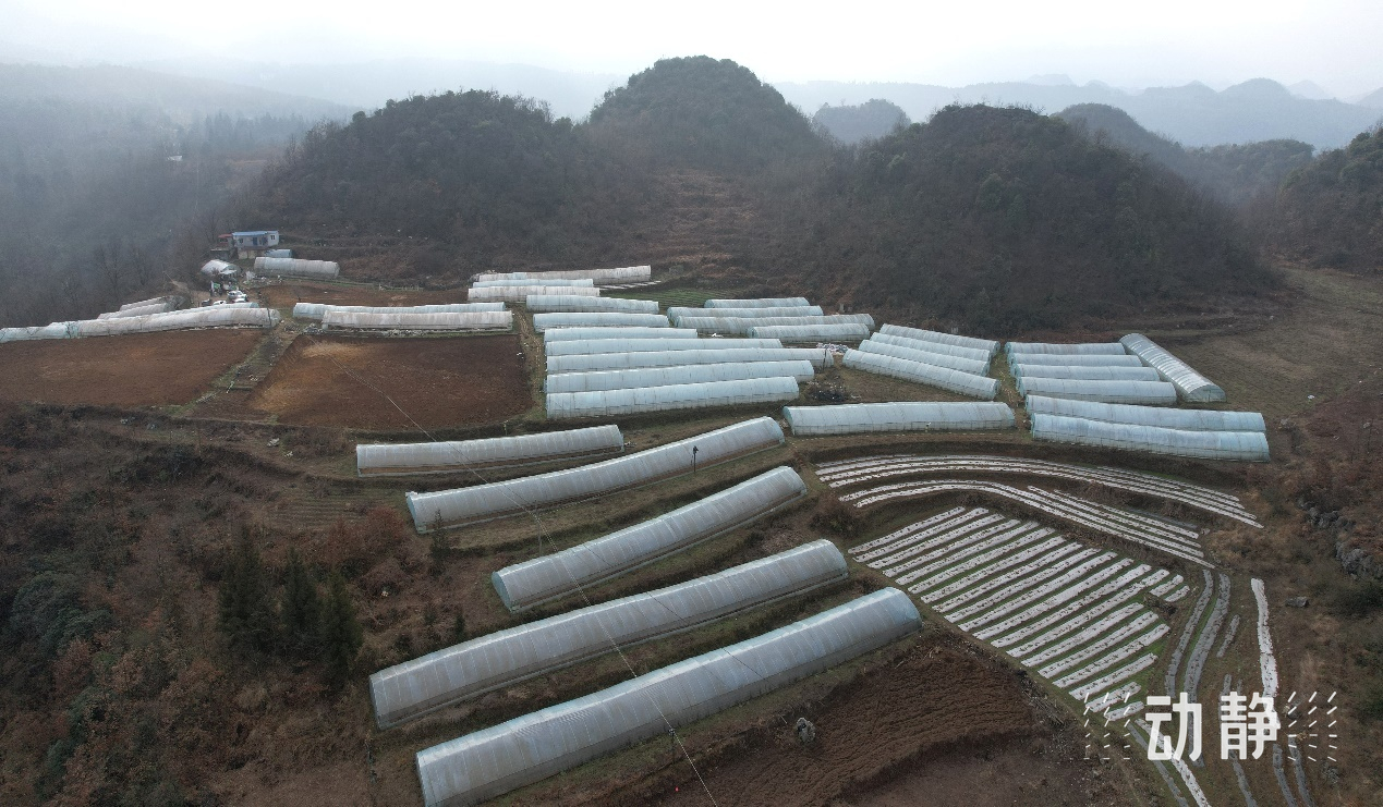 “村”潮涌动处 振兴正当时