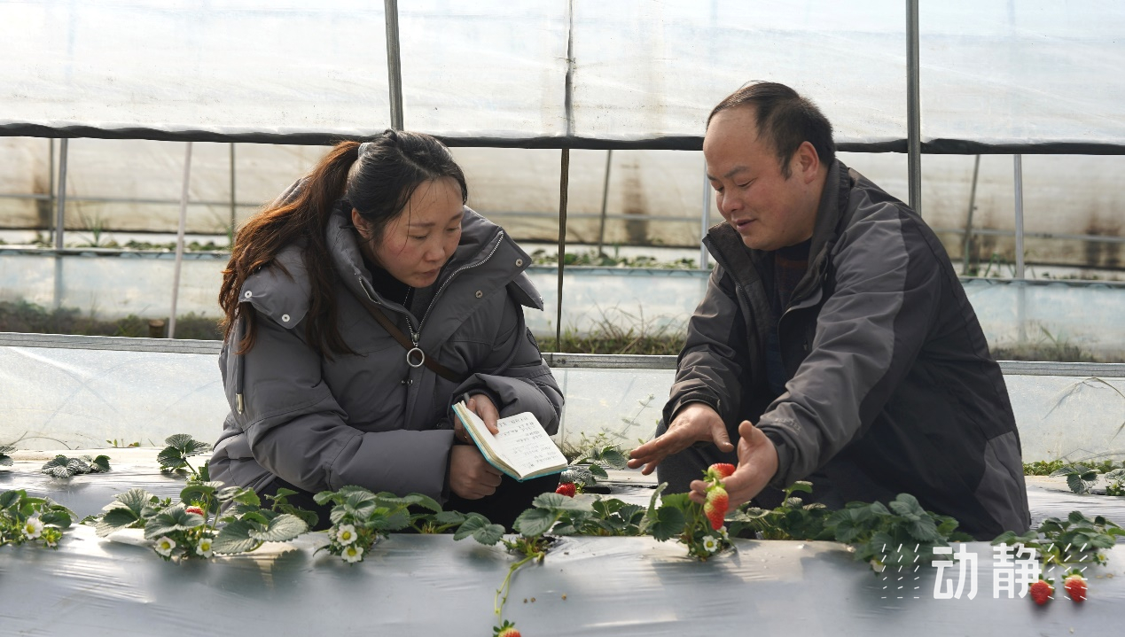 “村”潮涌动处 振兴正当时
