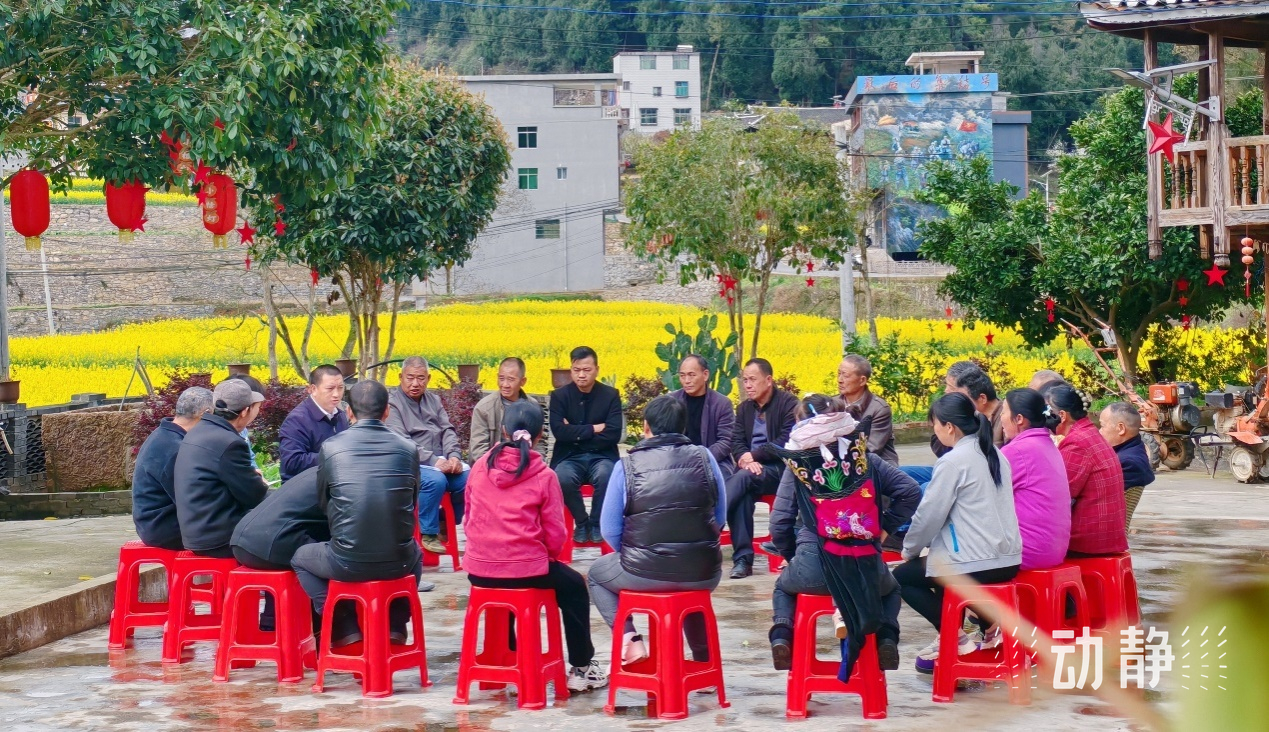 “村”潮涌动处 振兴正当时