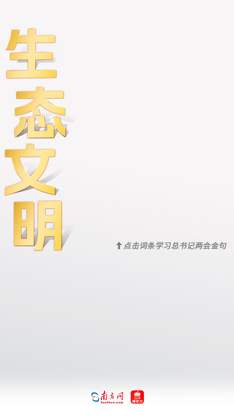 学习时节｜36次参加地方代表团审议，总书记都说了哪些“高频词”？