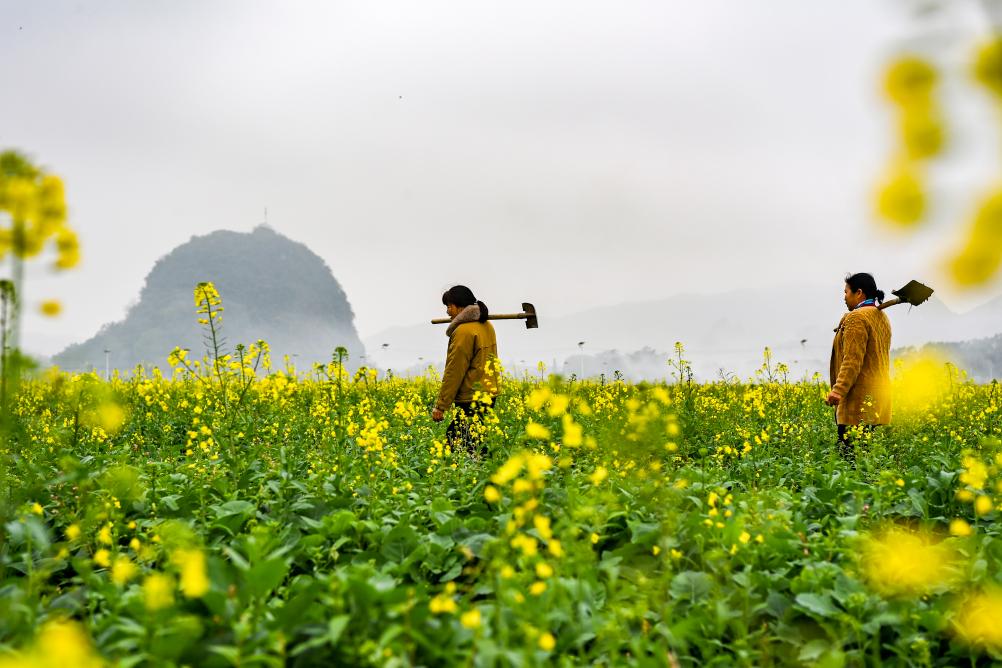 别样中国丨天地启春色，万象共“耕”新