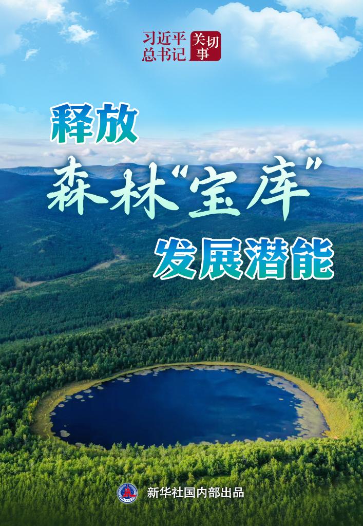 习近平总书记关切事丨释放森林“宝库”发展潜能