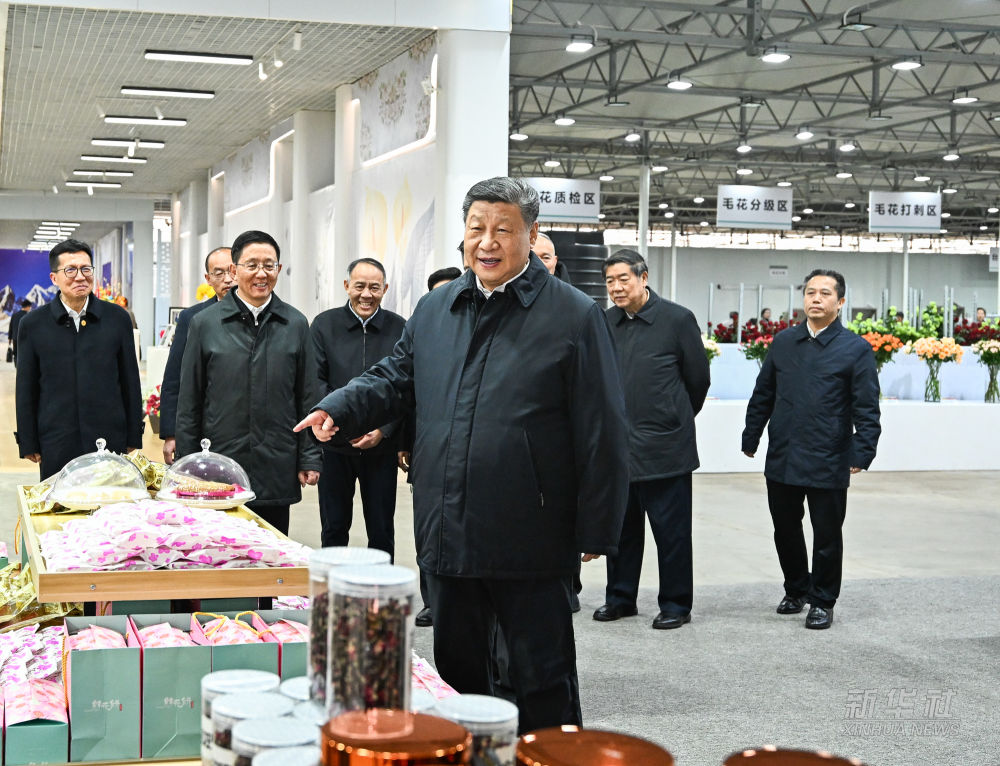 习近平在云南丽江市考察调研