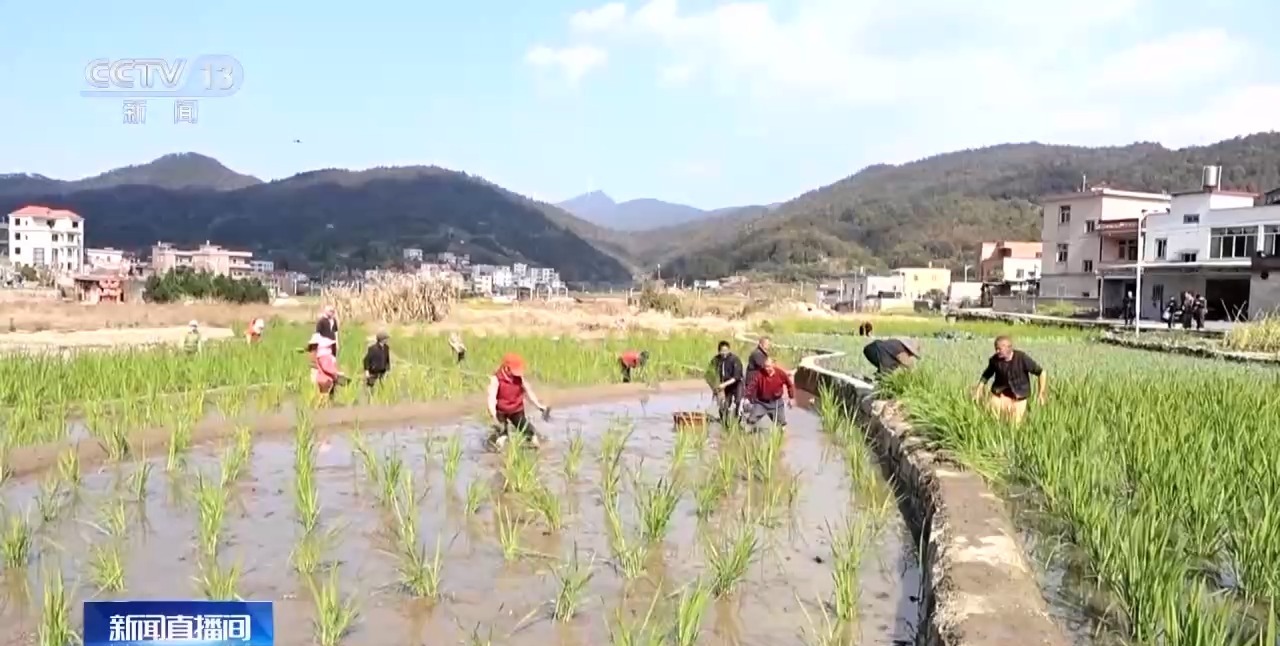 春花烂漫 万象“耕”新！春天里的中国活力满满