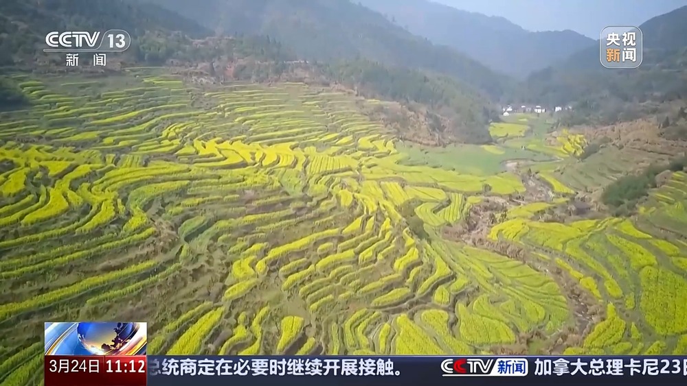 清明将至 短途旅游线路火爆 这些宝藏地等你打卡