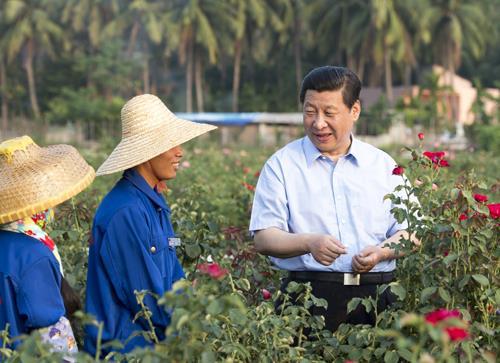 时政微观察丨生活像花儿一样美