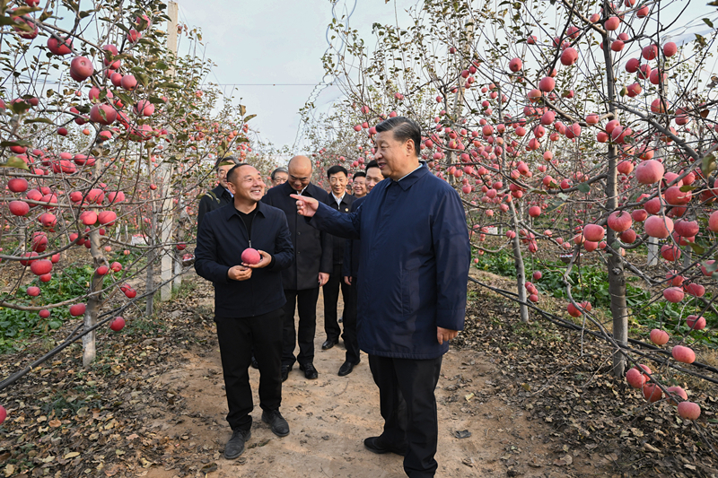 人民领袖｜总书记谈到的“苹果故事”意味深长