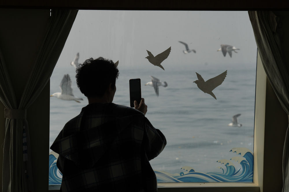 新华全媒＋|芳草寄思念——清明假期见闻