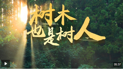 近观“两山” | 树木，也是树人