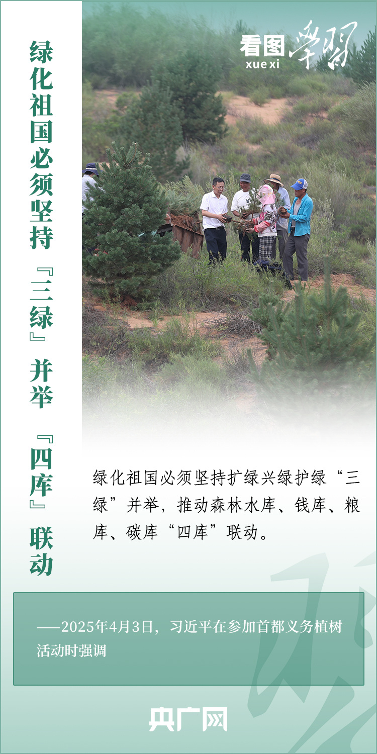 看图学习丨绿化祖国 总书记强调“提质”“兴业”“利民”