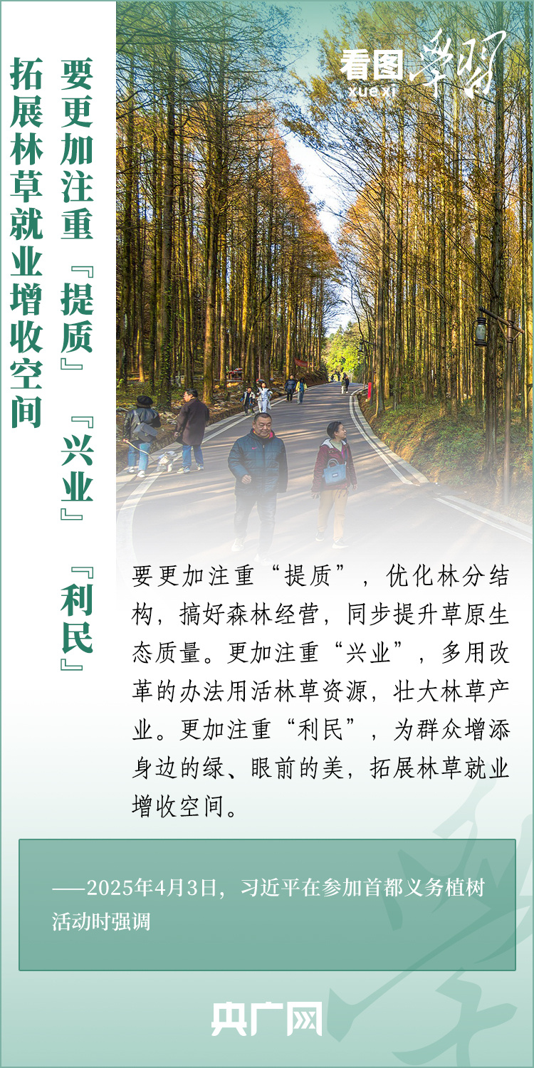 看图学习丨绿化祖国 总书记强调“提质”“兴业”“利民”