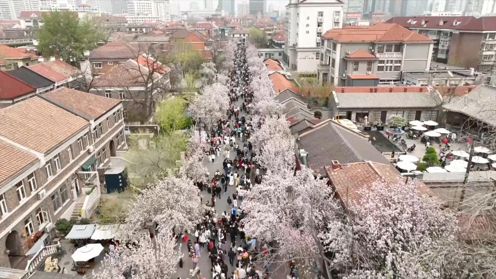 新华视点｜人市两热 多彩假日活力足——2025清明假期盘点