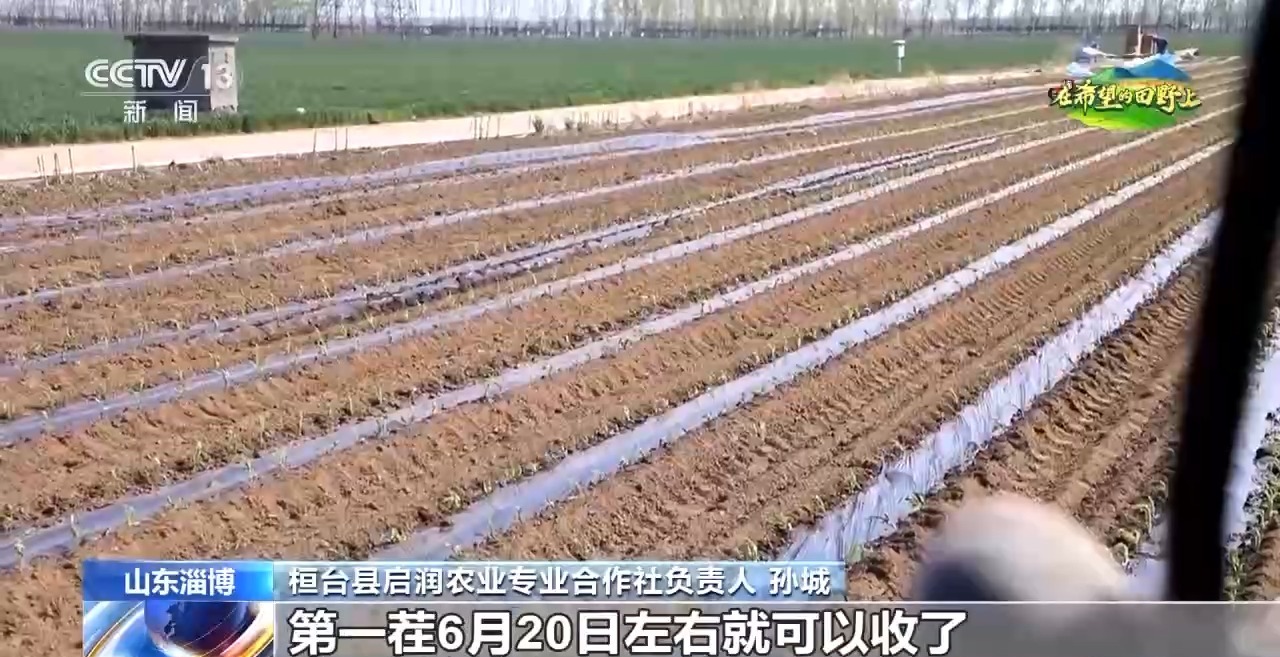 北斗导航、数字平台、无人机……来看农耕里的“科技范”