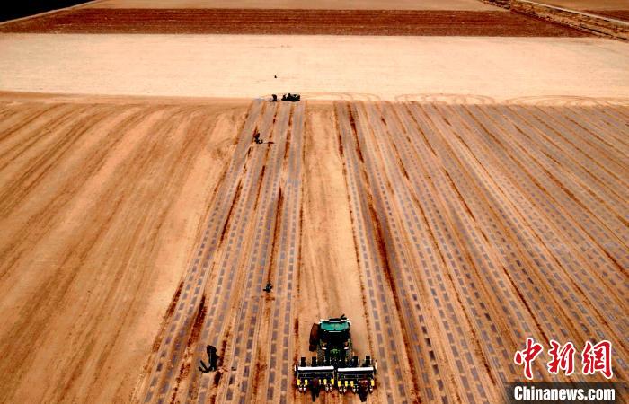 新疆兵团：现代农业跑出春耕春播“加速度”