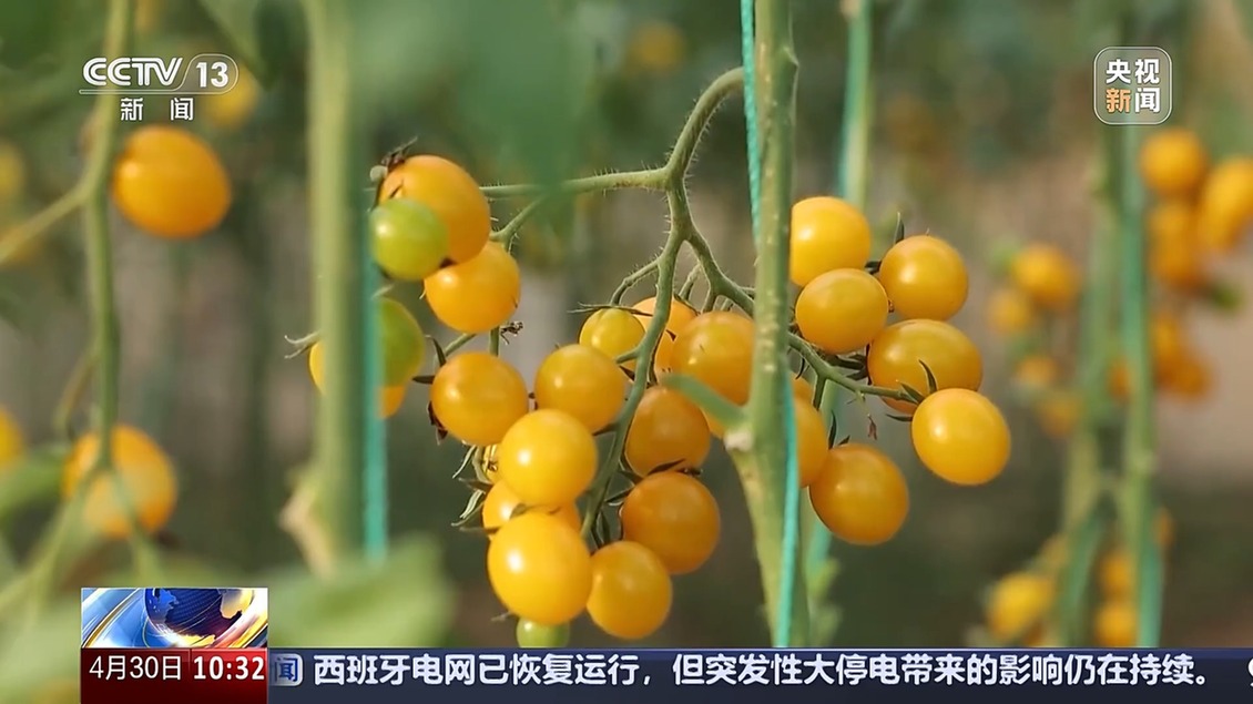 供应充足 品种丰富 价格稳定 五一假期“菜篮子”供应有保障