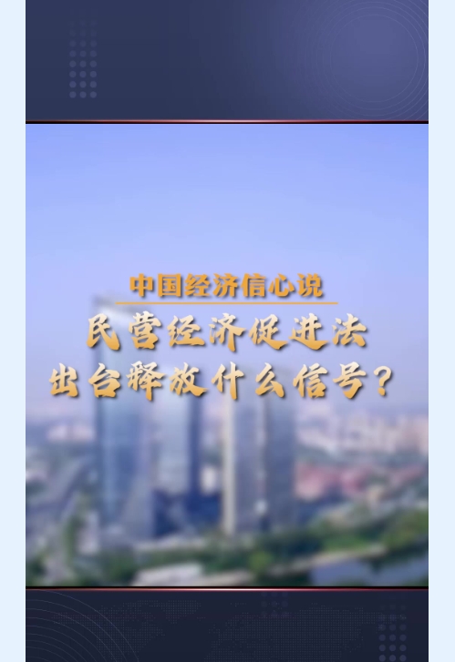 中国经济信心说丨民营经济促进法出台释放什么信号？