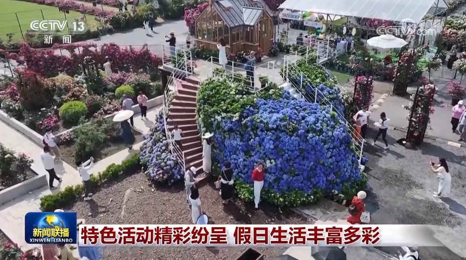 特色活动精彩纷呈 假日生活丰富多彩