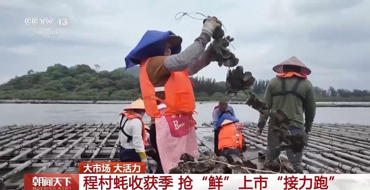 大市场 大活力丨“五一”假日餐桌海鲜热度揭秘 生蚝如何抢“鲜”出发？