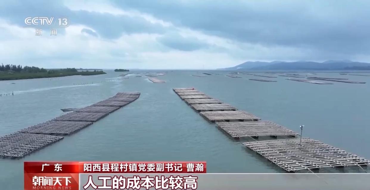 大市场 大活力丨“五一”假日餐桌海鲜热度揭秘 生蚝如何抢“鲜”出发？