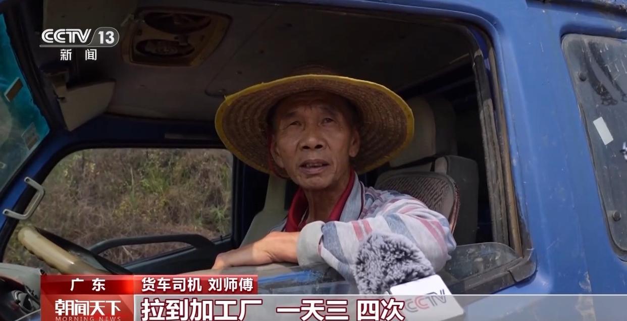 大市场 大活力丨“五一”假日餐桌海鲜热度揭秘 生蚝如何抢“鲜”出发？
