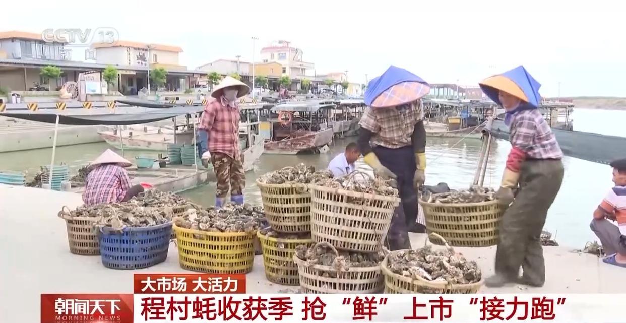 大市场 大活力丨“五一”假日餐桌海鲜热度揭秘 生蚝如何抢“鲜”出发？